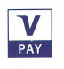 Visa Pay Logo
